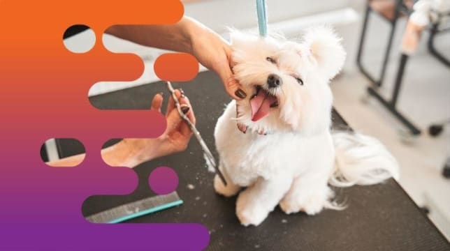 A7rnrsq2fecqu7ca5cel