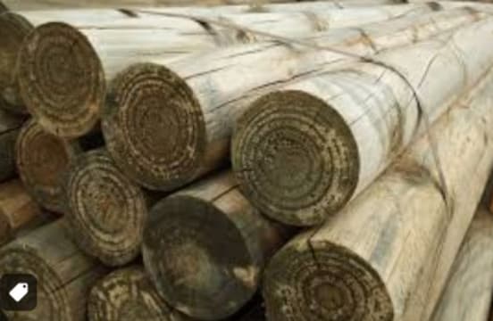 A8wjhsjr69pilselurqv