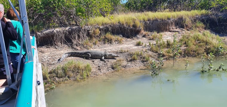 NATURE AND KARUMBA SAND ISLAND SUNSET CRUISES