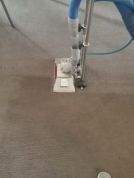 URGENT SALE- Profitable Owner-Operator Carpet Cleaning Business Growth Potential