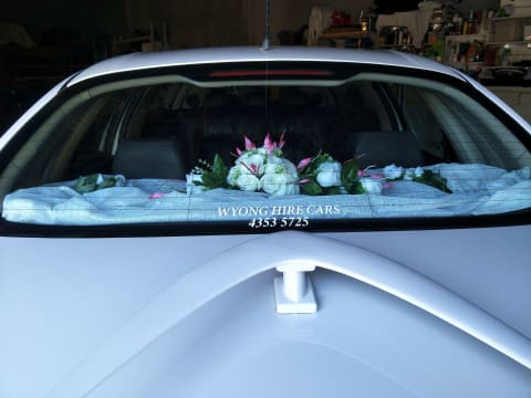 Adnwc39cviczeecavlas