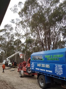 Total Tree & Stump Removal