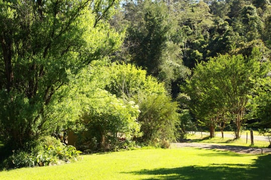 Sustainable Hazelnut & Agritourism Business Opportunity