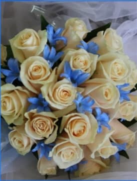 FLORIST  GIFTS  PLANTS & POTS - ONLY ONE IN BEACONSFIELD -