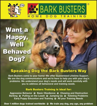 Bark Busters Dog Training Franchise