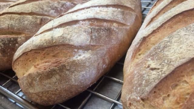 Established Sandy Bay Bakery & Café with Loyal Local Following