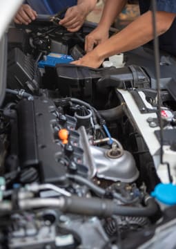 Ahnnmbxqzx1gtlrqmx22