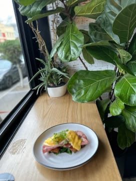 Aisoch58mbglyve1pfxd