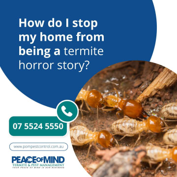 Established Termite & Pest Management Business Flexible, Mobile Operation. WIWO