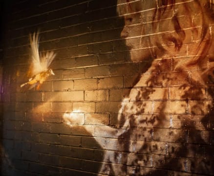 Amnjfyvptb4edaz41arg