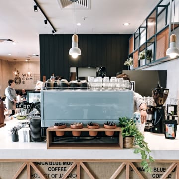 Aplc0zgnblsaomwyqafu