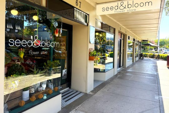 LEASEHOLD - Seed & Bloom Flower Store, Wangaratta - 1P0586