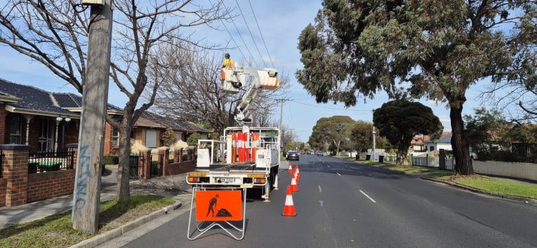 Vegetation Maintenance Municipal Contractor - EBS