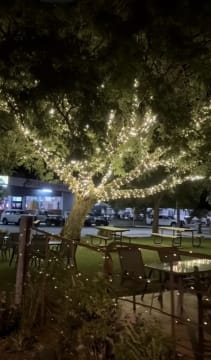 For Sale - Café 4419 - Wandoan QLD