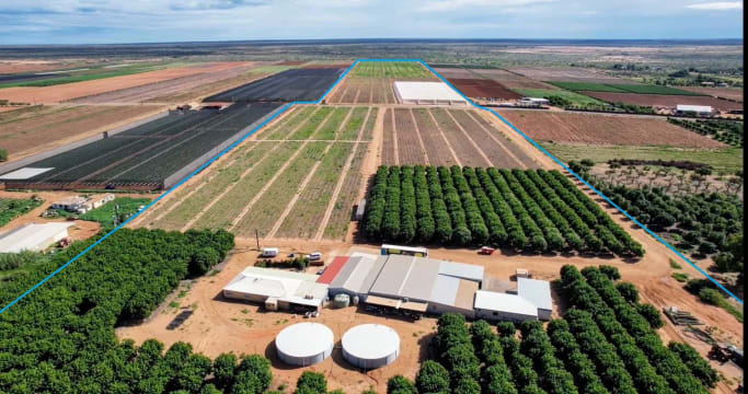 Horticulture Business & 58 Acre Asset | $1.5M+ Capability | Walk-In Walk-Out