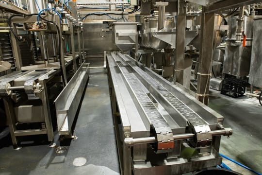 Established Asian Food Manufacturer - Strong Growth Potential