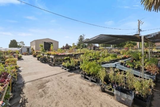 Multiflora Nursery - Colac (IWR2646)