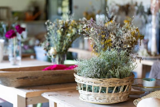 Iconic Home Decor & Gift Business, Online Growth Potential - EBS