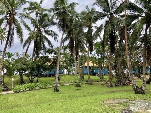 Ayzi4ogukk6a0gayqktk