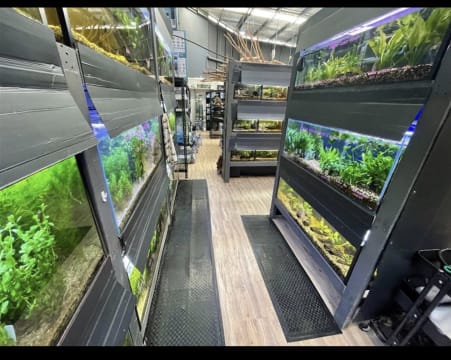Established Aquarium & Pet Retail Business - Strong Profits