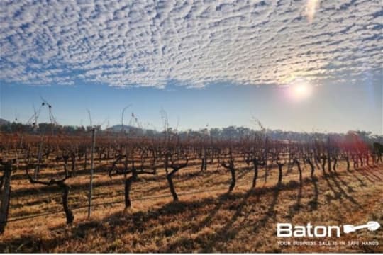 Ballandean Estate - QLD's Oldest Operated Winery, Est. 1932