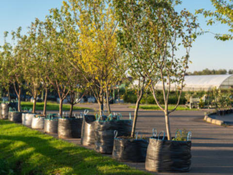 Profitable Regional Nursery | Semi-Passive Operation | Central Victoria