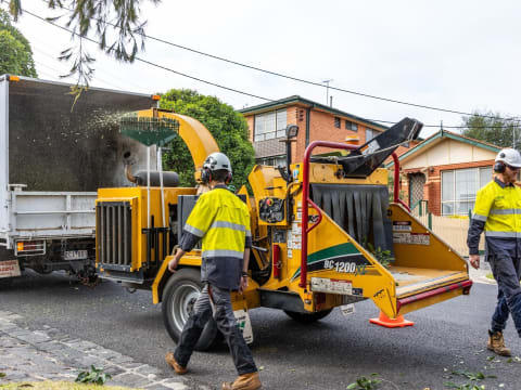 Vegetation Maintenance Municipal Contractor - EBS