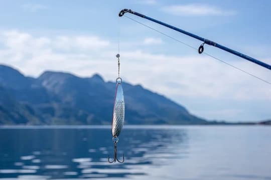 B8scwdf5xtex5zkx7uql