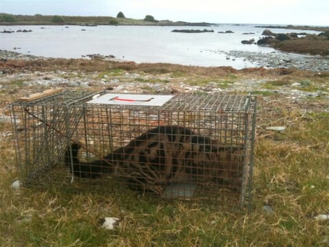 Established Environmental Services Provider