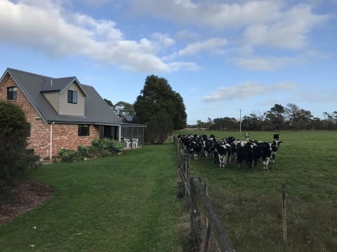 HOLIDAY COTTAGES, COASTAL, MOTEL