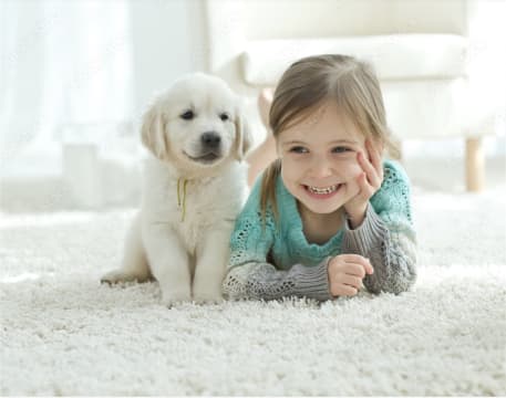 JUST LISTED! Branded Carpet, Flooring and Window Furnishing