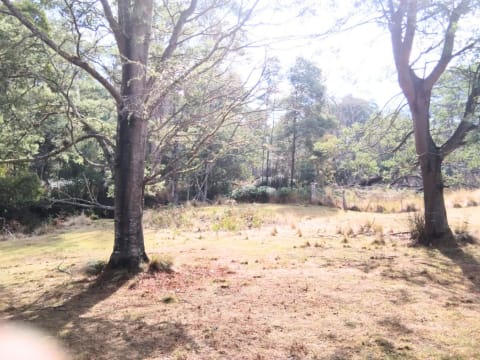 Rare Secluded Private Retreat Tyne River Alternative Life Style Self Sufficiency 5Star Home $850K