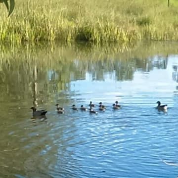 Bjqnboxjye9thenyswlw