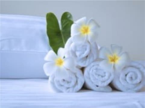 Top Quality Commercial Cleaning & Laundry Business
