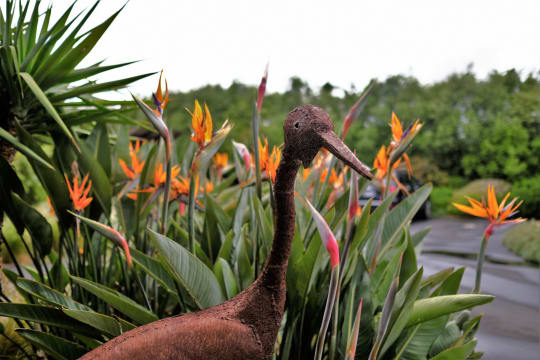 Great cash flow & long lease - Lifestyle accommodation business in wine country