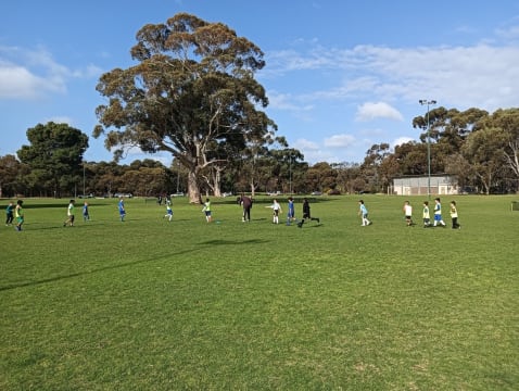 Blisyfqxls58wdmu8fhh