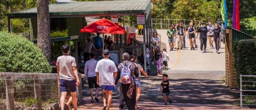 Toboggan Hill Park, Nelson Bay