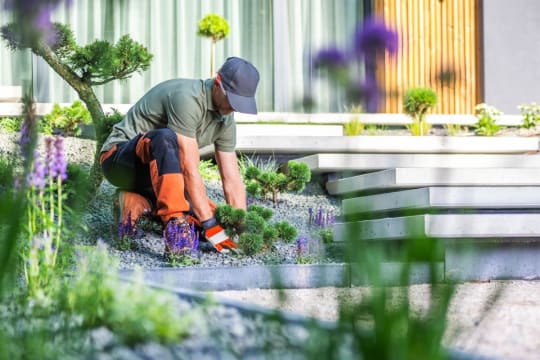 Combined Horticulture & Landscaping Enterprise | FY26 Revenue $9.23M | QLD