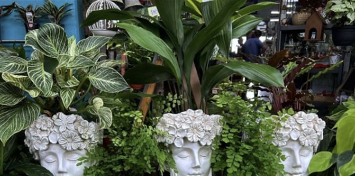 Freehold Building & Hardware Supplies Newcastle Area