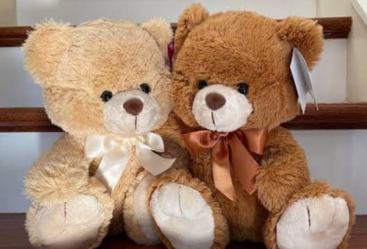National Giftware Wholesaler with B2B Online Ordering Platform (Our Ref: V2106)