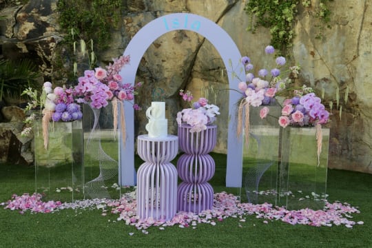 Well Established Wedding and Corporate Event Hire Business