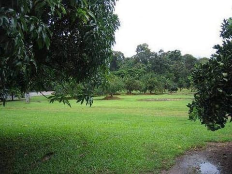 Bsbxmrepsazfz106syfx