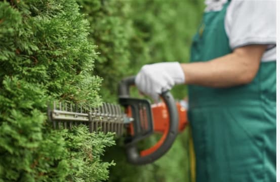 Bugbplvoer1lpom19ym7