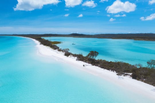 "Exceptional Coastal Hospitality Opportunity – Thriving & Profitable!"