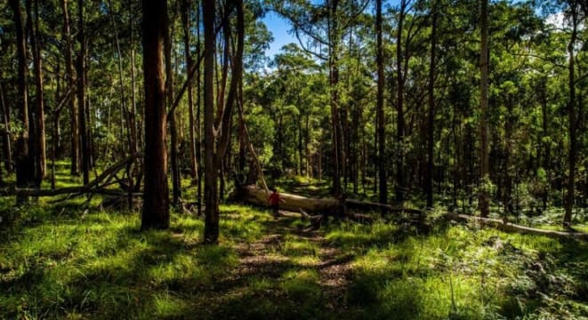 Agriculture, Recreation and Luxe Accommodation Development Opportunity