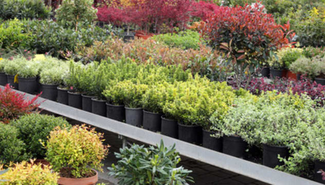 Profitable Regional Nursery | Semi-Passive Operation | Central Victoria