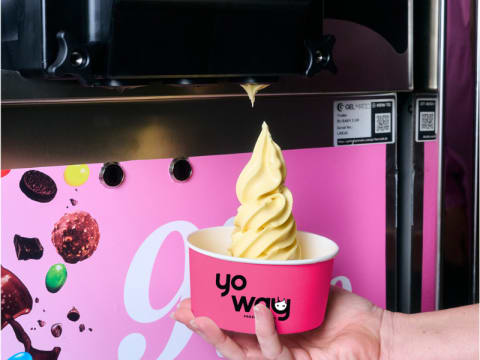 Expressions of Interest – YoWay Frozen Yogurt $85K Franchise