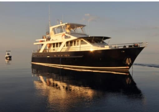 Sports Fishing Charter Business - Far North Queensland (DWBL1477)