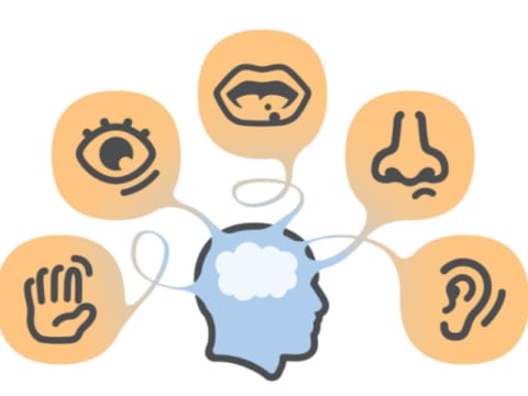 C29d5fpmqwng5y7hamtn