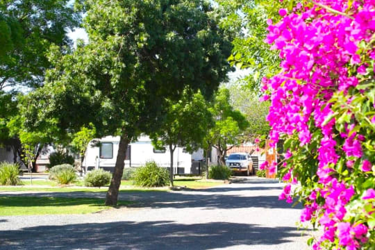 UNDER OFFER - BIG 4 Cabin Park Hay, NSW - 1P0183